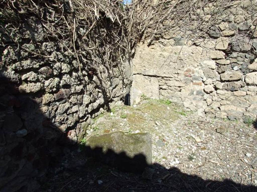 VIII.5.9 Pompeii. March 2009. Room 12. North west corner.