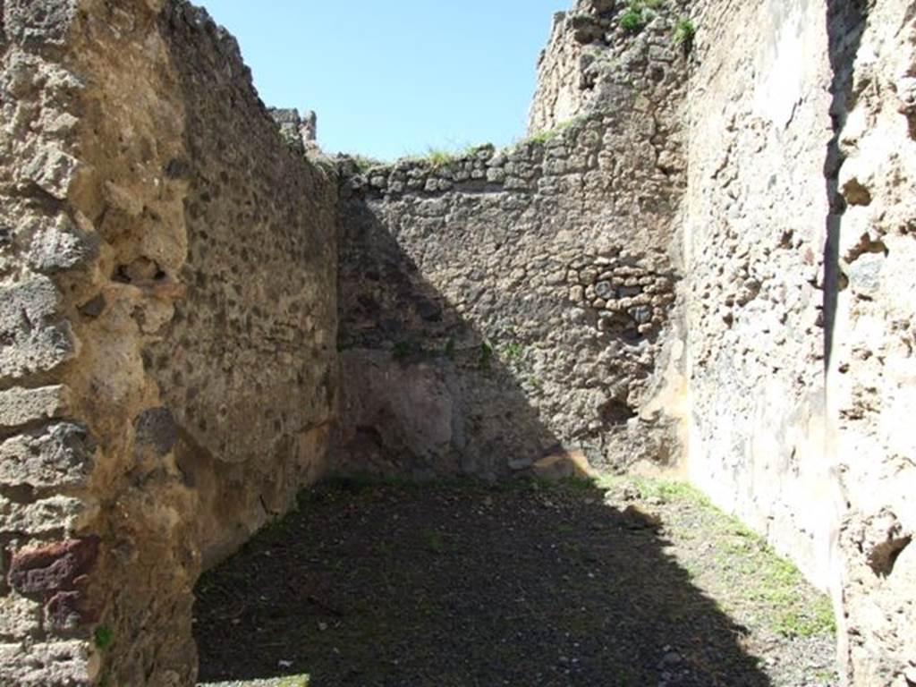 VIII.5.9 Pompeii. March 2009. Room 23. West wall.