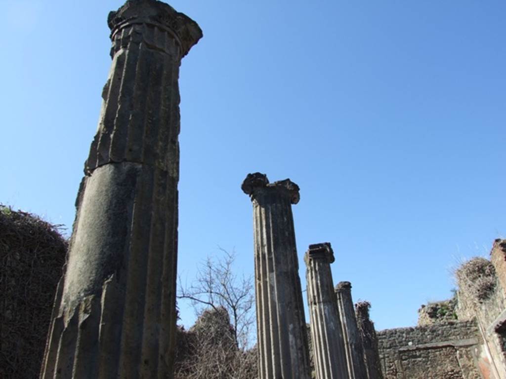VIII.5.9 Pompeii. March 2009. North Portico columns.