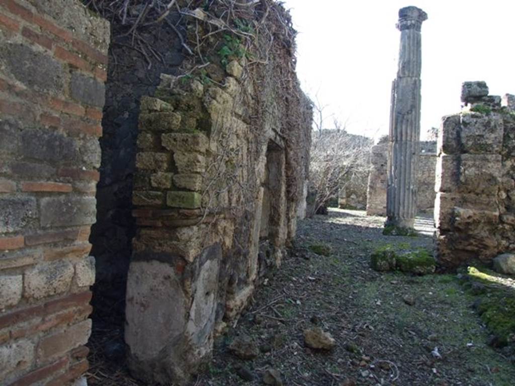 VIII.5.14 Pompeii. March 2009. Looking west from entrance.
