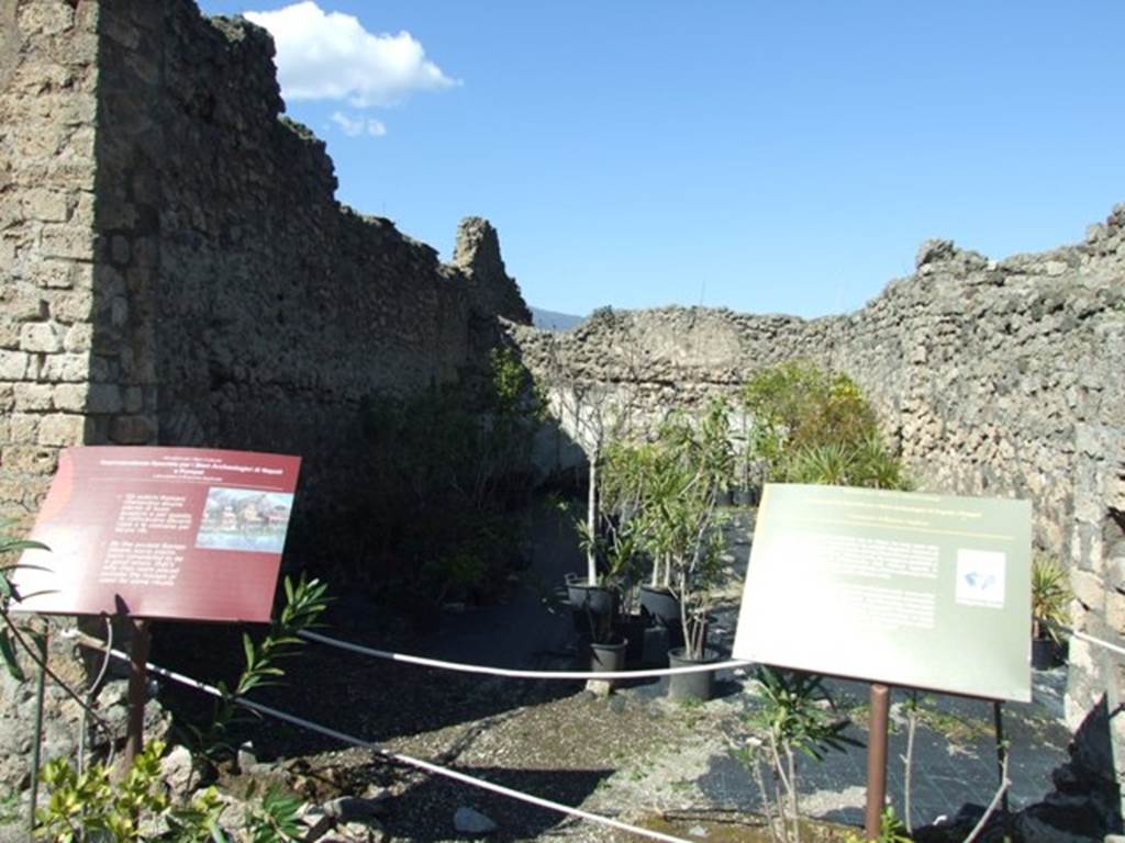 VIII.5.16 Pompeii. March 2009. Room 1, Large Triclinium, looking north.