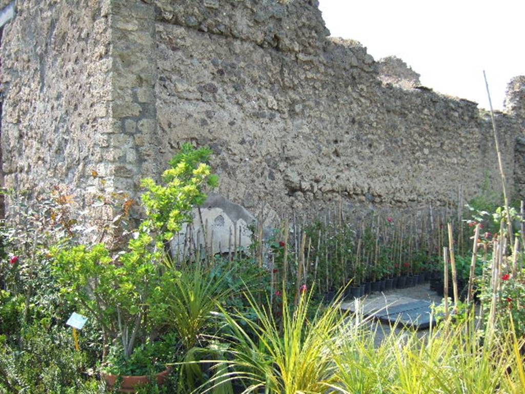 VIII.5.16 Pompeii. May 2006. West wall of Room 1, Large Triclinium.