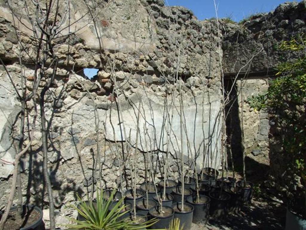 VIII.5.16 Pompeii. March 2009. Room 1, Large Triclinium. North wall, east end, with doorway to small room.