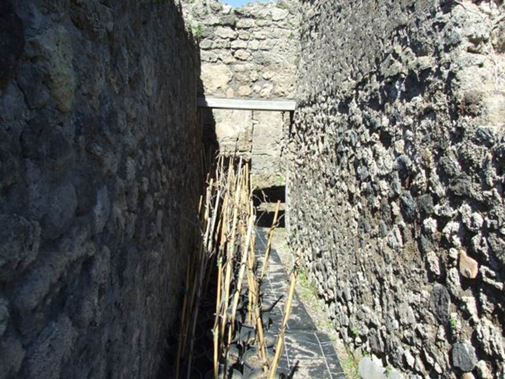 VIII.5.16 Pompeii. March 2009. Room 2. Corridor, looking north.