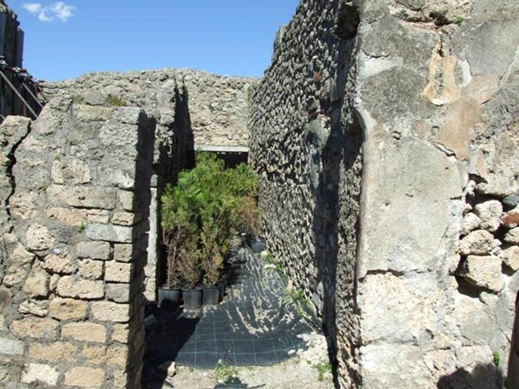 VIII.5.16 Pompeii. March 2009. Looking north along Room 4, Corridor, joining into Room 2, Corridor.
