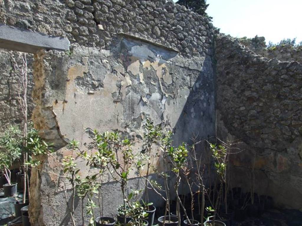 VIII.5.16 Pompeii. March 2009. Room 6, east wall of summer triclinium with doorway to room 7, and south-east corner of room 6. The zoccolo (lower wall) of this wall was painted black with painted plants separated by narrow panels. The middle zone was painted with yellow panels and in the central panel contained the wall painting of Mars and Venus. On either side of the central painting were painted medallions (0.20m diameter). The medallion on the left showed a panther attacking a swan, the one on the right showed an architectural landscape. The narrow red partitions on the wall were painted with candelabra. The upper zone of the wall was painted white.
