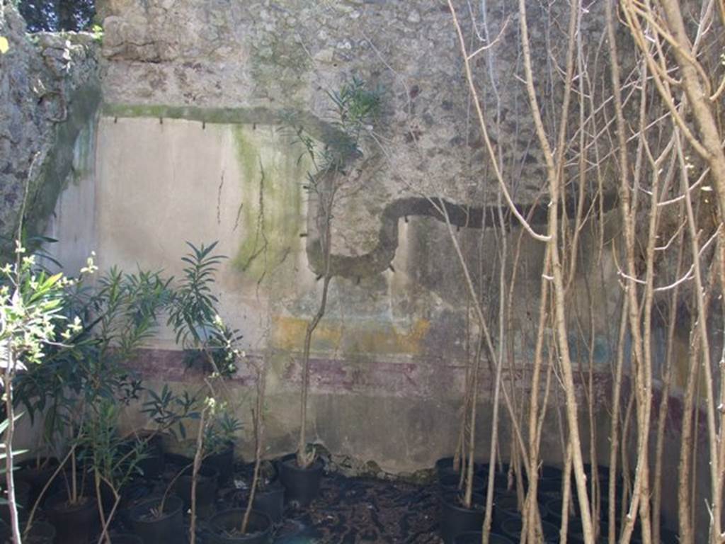 VIII.5.16 Pompeii. March 2009. Room 7. South wall.