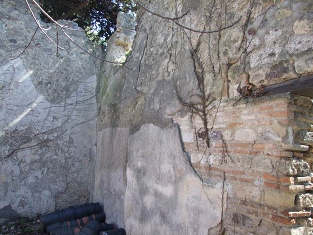 VIII.5.16 Pompeii. March 2009. Room 11. Small garden area. South east corner and south wall.