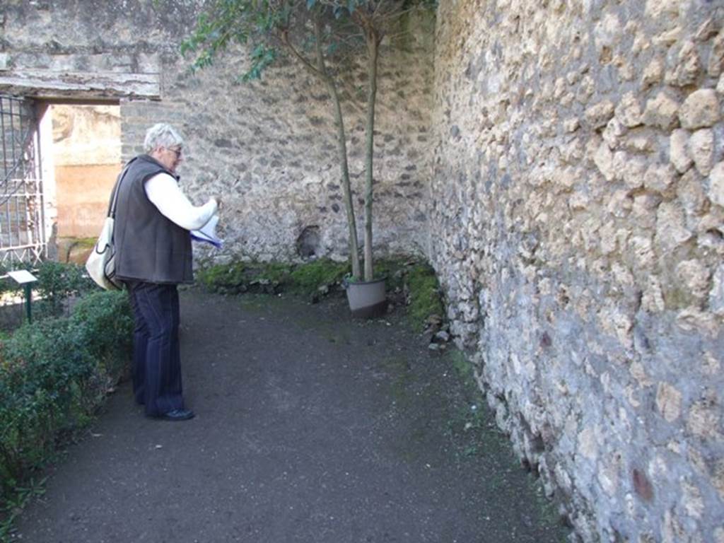 VIII.5.16 Pompeii. March 2009. Area on west side of entrance at VIII.5.38, in south side of garden area.