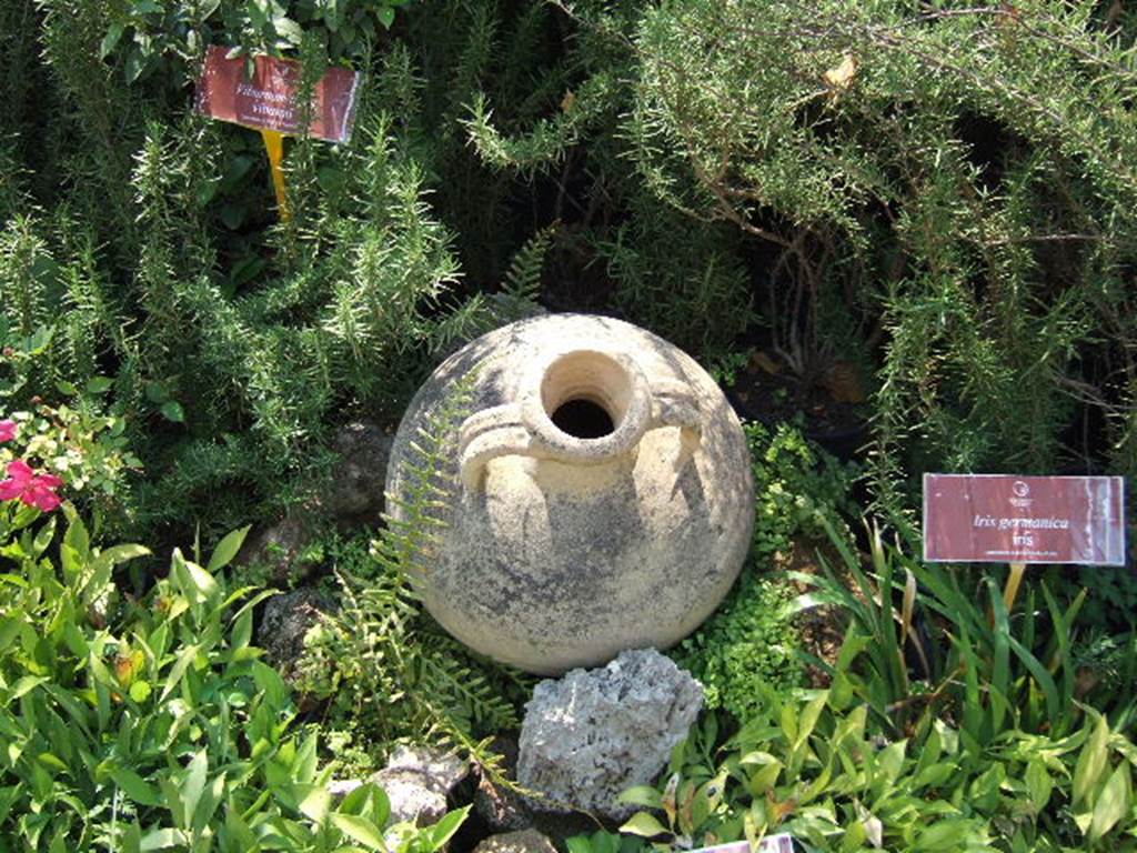 VIII.5.16 Pompeii. May 2006. Pot.