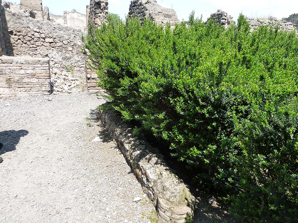 VIII.5.24 Pompeii. May 2010. Looking north along west portico.