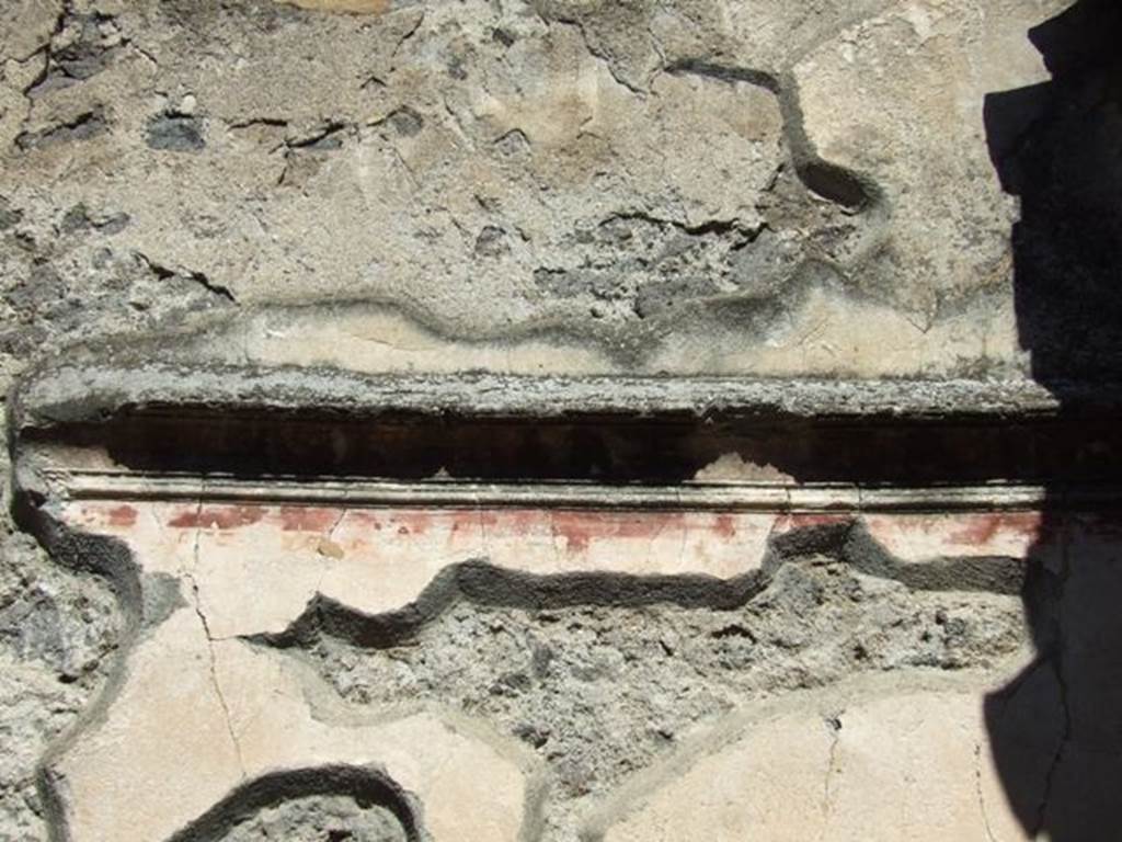 VIII.5.28 Pompeii. March 2009. Room 7, Oecus. North wall.