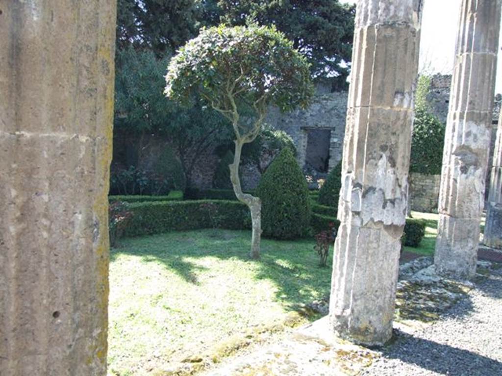 VIII.5.28 Pompeii. March 2009. Room 10. Looking south west across Peristyle garden