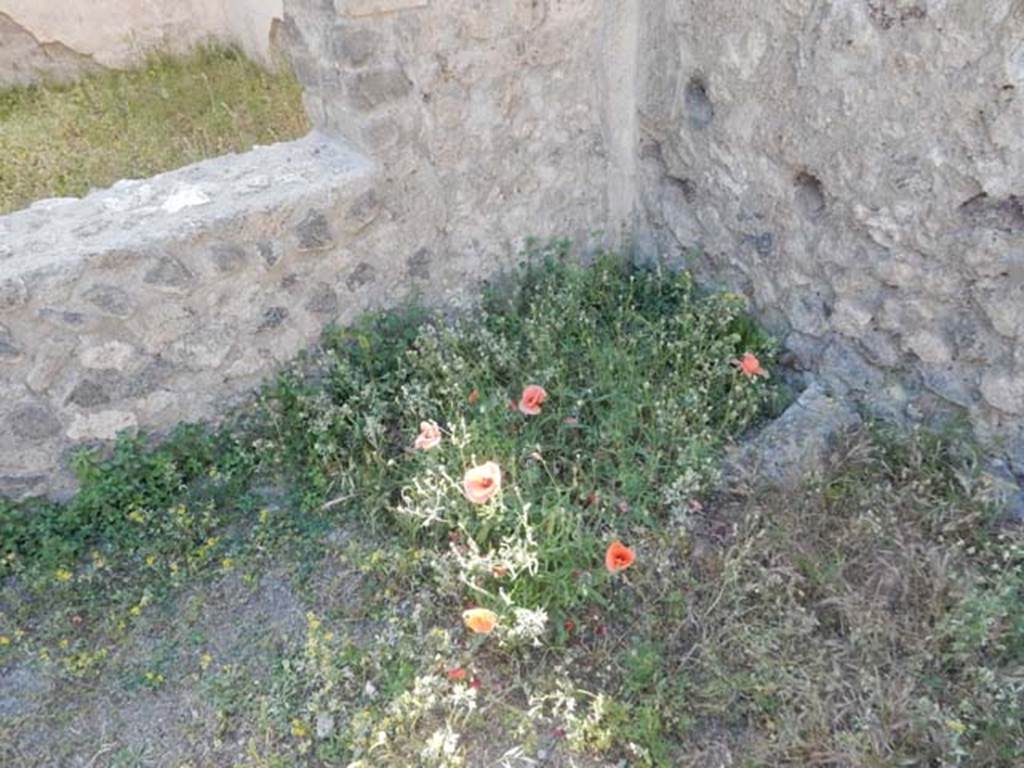 VIII.5.37 Pompeii. May 2017. North-west corner of garden area. Photo courtesy of Buzz Ferebee.