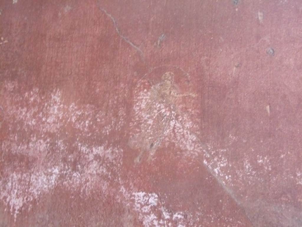 VIII.5.37 Pompeii. March 2009. Room 13, oecus. Painting of floating figure at west end of north wall.