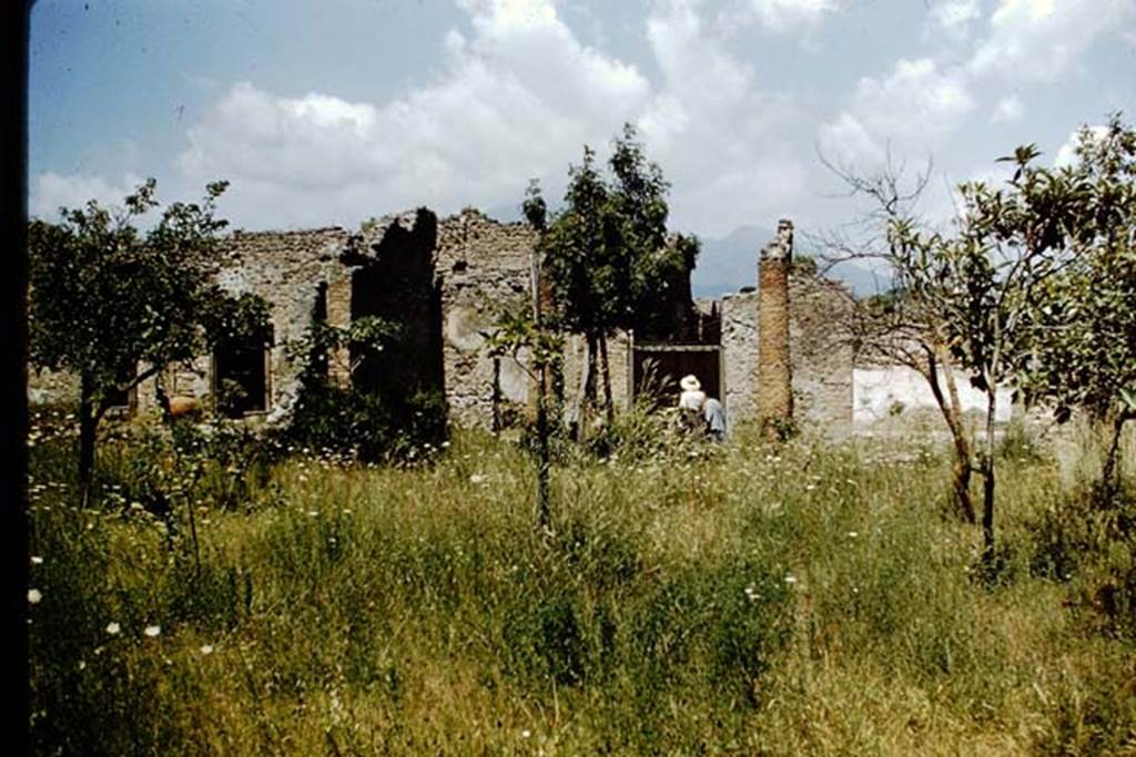 VIII.5.38 Pompeii. 1959. Looking towards north portico, with doorway in centre linking to VIII.5.15, then Wilhelmina and Tatiana exiting into the small vicolo.
On the right is the large entrance to Room 1, the open triclinium. Photo by Stanley A. Jashemski.
Source: The Wilhelmina and Stanley A. Jashemski archive in the University of Maryland Library, Special Collections (See collection page) and made available under the Creative Commons Attribution-Non Commercial License v.4. See Licence and use details. J59f0308