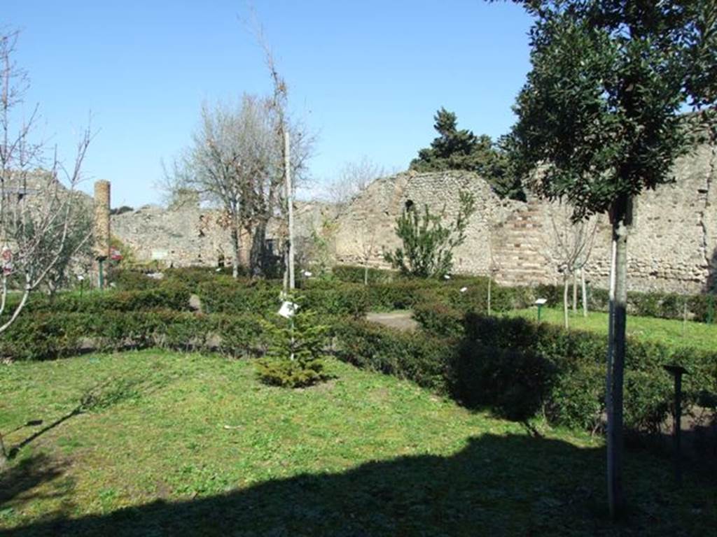 VIII.5.16 Pompeii. March 2009. Looking north east across garden, from near VIII.5.38.