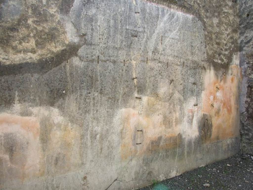 VIII.5.39 Pompeii. March 2009. Room 5, south wall of triclinium.
According to PPM �
The most important painted element was to be the medallions with female portraits seen in the triclinium.
On the south wall, the decoration would have been IV Style, today completely faded.
The plinth and zoccolo were painted black, the middle zone was painted yellow, with the upper portion white.  
The cornice was polychrome stucco.
The zoccolo still has traces of plants (and birds), and a medallion at the centre of the panel on the right (west end)
See Carratelli, G. P., 1990-2003. Pompei: Pitture e Mosaici: Vol. VIII. Roma: Istituto della enciclopedia italiana, p. 656-9.