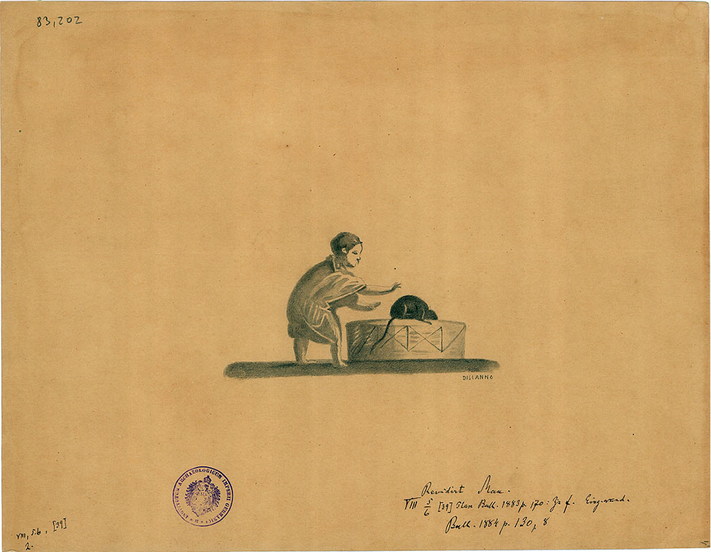 VIII.5.39 Pompeii. Room 5, east wall, right of entrance, of triclinium. Drawing by G. Discanno of boy and mouse or rat that is trying to get into the basket.
DAIR 83.202. Photo � Deutsches Arch�ologisches Institut, Abteilung Rom, Arkiv. 
See Schefold, K., 1957. Die W�nde Pompejis. Berlin: De Gruyter, p. 229, room f. 
