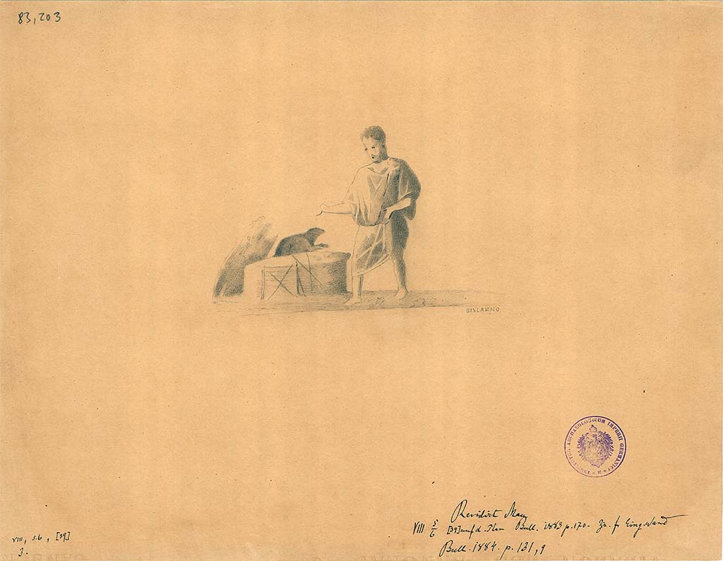 VIII.5.39 Pompeii. Room 5, east wall, left of entrance, of triclinium. Drawing by G. Discanno of boy surprised by the mouse or rat coming out of the basket.
DAIR 83.203. Photo � Deutsches Arch�ologisches Institut, Abteilung Rom, Arkiv. 
See Schefold, K., 1957. Die W�nde Pompejis. Berlin: De Gruyter, p. 229, room f. 

