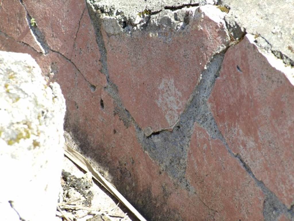 VIII.5.39 Pompeii. March 2009. Room 1, remains of painted plaster on summer triclinium.