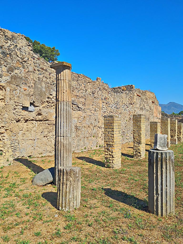 VIII.6.2 Pompeii. April 2022.
Looking towards west side, from entrance doorway. Photo courtesy of Giuseppe Ciaramella.