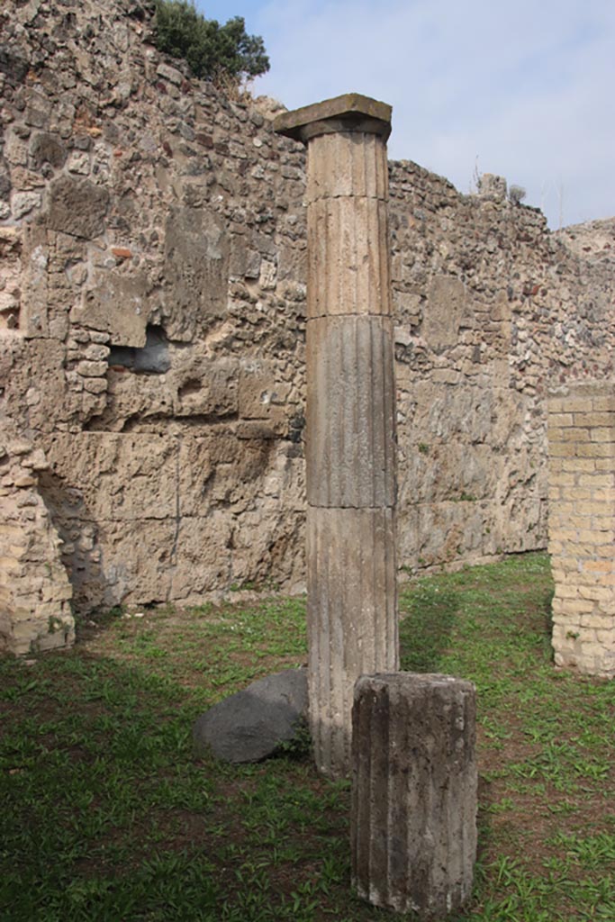 VIII.6.2 Pompeii. October 2023.
Detail of column in south-west corner of portico. Photo courtesy of Klaus Heese.
