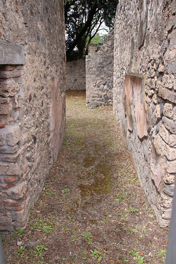 VIII.6.5 Pompeii. May 2024.
Looking north along entrance corridor from doorway. Photo courtesy of Klaus Heese.