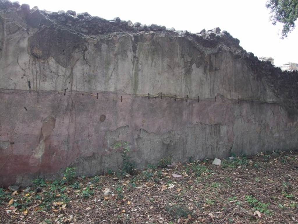 VIII.6.6 Pompeii. December 2007. South wall.
According to Jashemski -
�The animal painting on the south wall was a survival from an earlier house, as was the simple aedicula shrine in the south-west corner.�
See Jashemski, W. F., 1993. The Gardens of Pompeii, Volume II: Appendices. New York: Caratzas. (p.219).
According to NdS �
�On the south wall, but mostly fallen, there were the remains of a large painting, depicting one of the usual hunting scenes. There you could see, almost life-size, a lion with an open mouth, fleeing to the left was a deer that was brought down by a wild boar, of which only the legs and snout remained.�
(Sul muro meridionale, in gran parte caduto, vi era l�avanzo di una grandiosa pittura, ritraente una delle solite scene di caccia.
Vi si vede, quasi a grandezza naturale, un leone dalla bocca aperta, fuggente a sinistra, era un cervo che stramazza addentato da un cinghiale, del quale rimangono solo le zampe e il muso.)
See Notizie degli Scavi, August 1884, p. 280.
