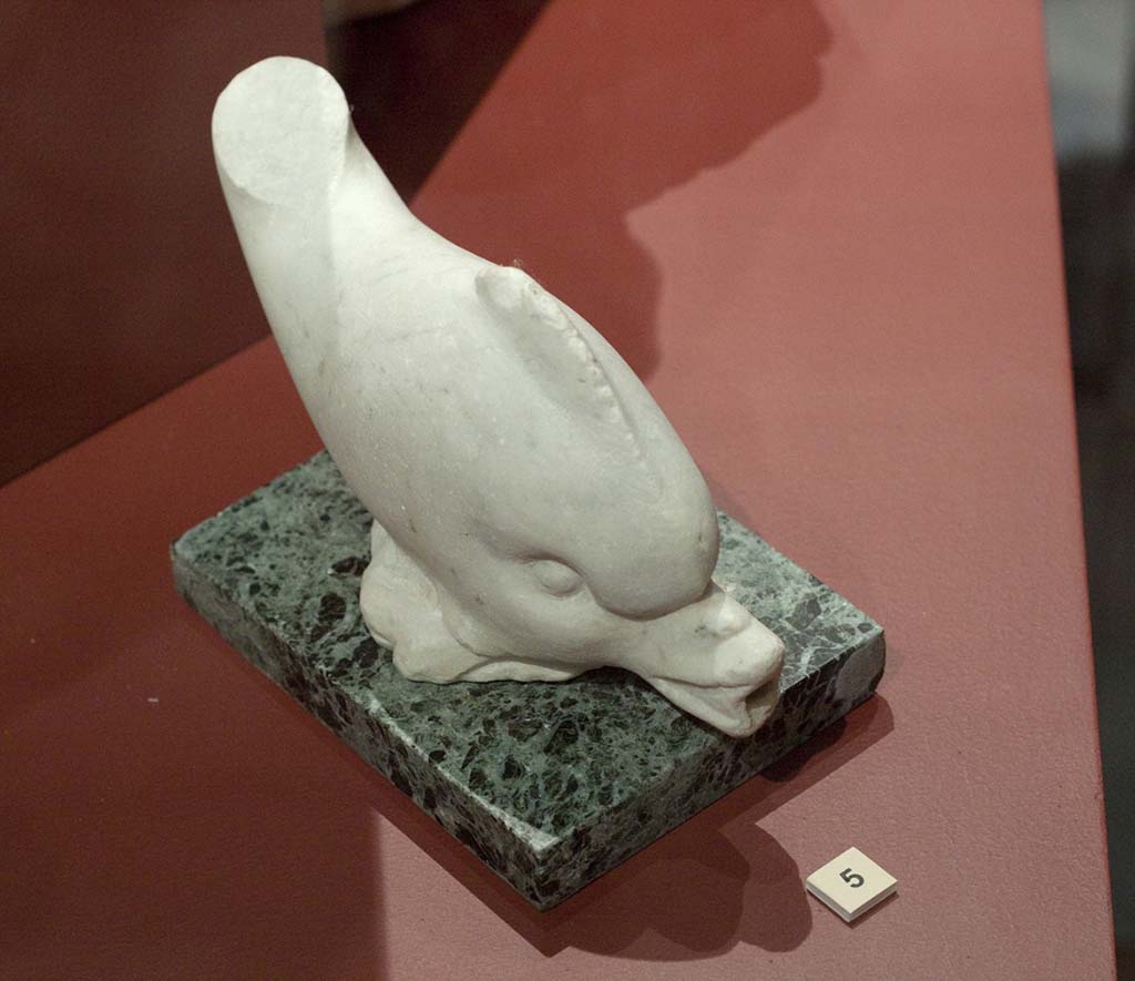 VIII.6.6 Pompeii. Found 16th October 1882. Sculpture of a dolphin used as a fountain to squirt water, missing its tail.
The base is modern. (This has also been put into VIII.5.37).
Now in Naples Archaeological Museum. Inventory number 120051.
According to the book below, this was found 16th October 1882 in a small channel/ditch of VIII.6.6.
See Marmora Pompeiana nel Museo Archeologico Nazionale di Napoli: Studi della SAP 26, 2008, p. 152, C49.
According to Jashemski, and the description in Notizie degli Scavi, this would seem to have been found in the atrium of the house now known as Casa delle Pareti Rosse, which is now given the number of VIII.5.37. 
However, in NdS, the house where this was found was given the number of VIII.6.6, but the description of the lararium with the statuettes (and a �small� garden), would definitely seem to fit VIII.5.37, rather than VIII.6.6.
See Jashemski, W. F., 1993. The Gardens of Pompeii, Volume II: Appendices. New York: Caratzas. (p.218).
