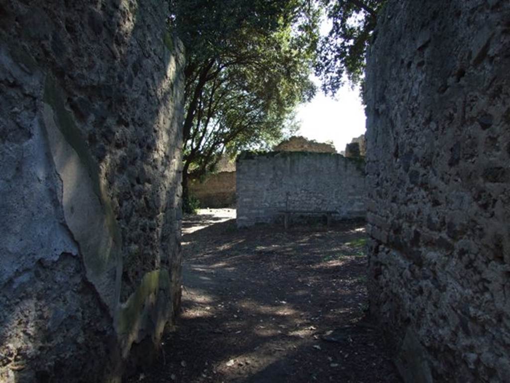 VIII.6.6 Pompeii. March 2009. Entrance corridor, looking south.