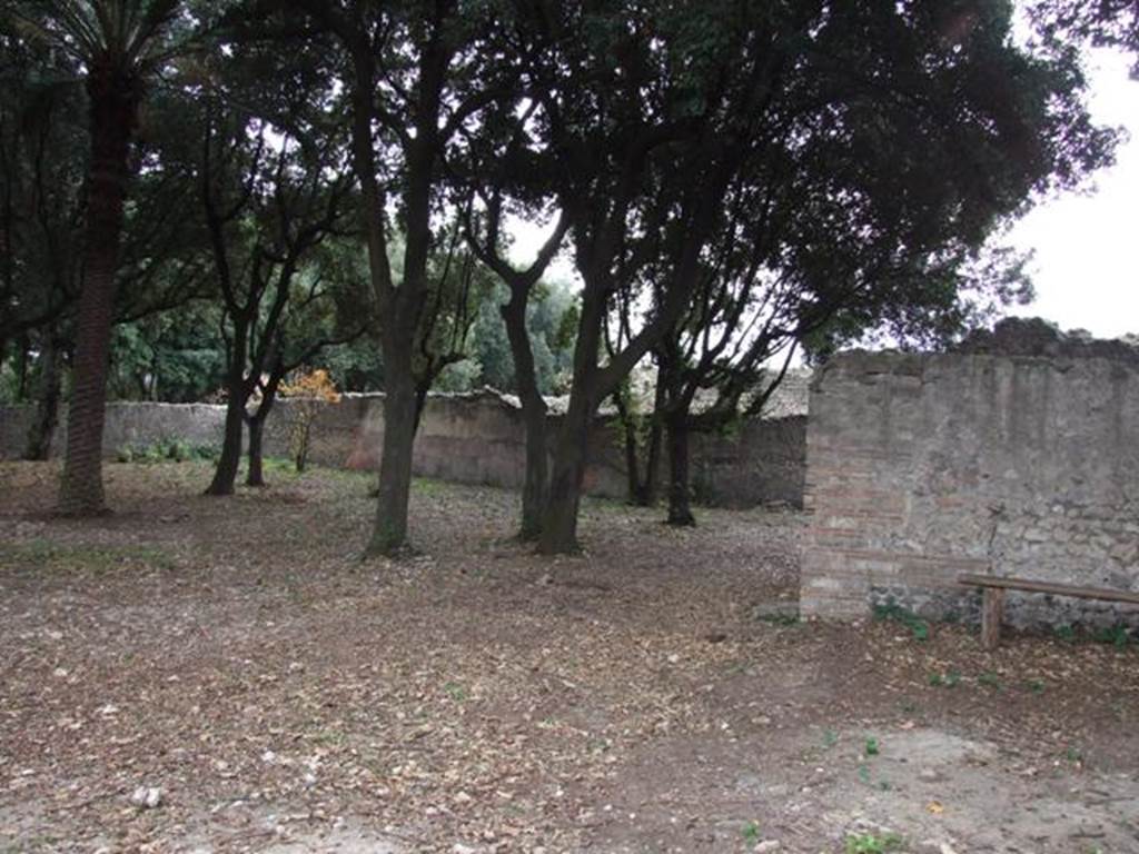 VIII.6.6 Pompeii. Horticultural plot. December 2007. Looking south east towards south wall.
