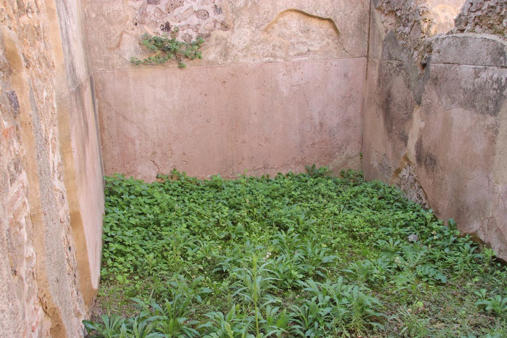 VIII.6.9 Pompeii. October 2022. Detail from south wall opposite the entrance doorway. Photo courtesy of Klaus Heese.