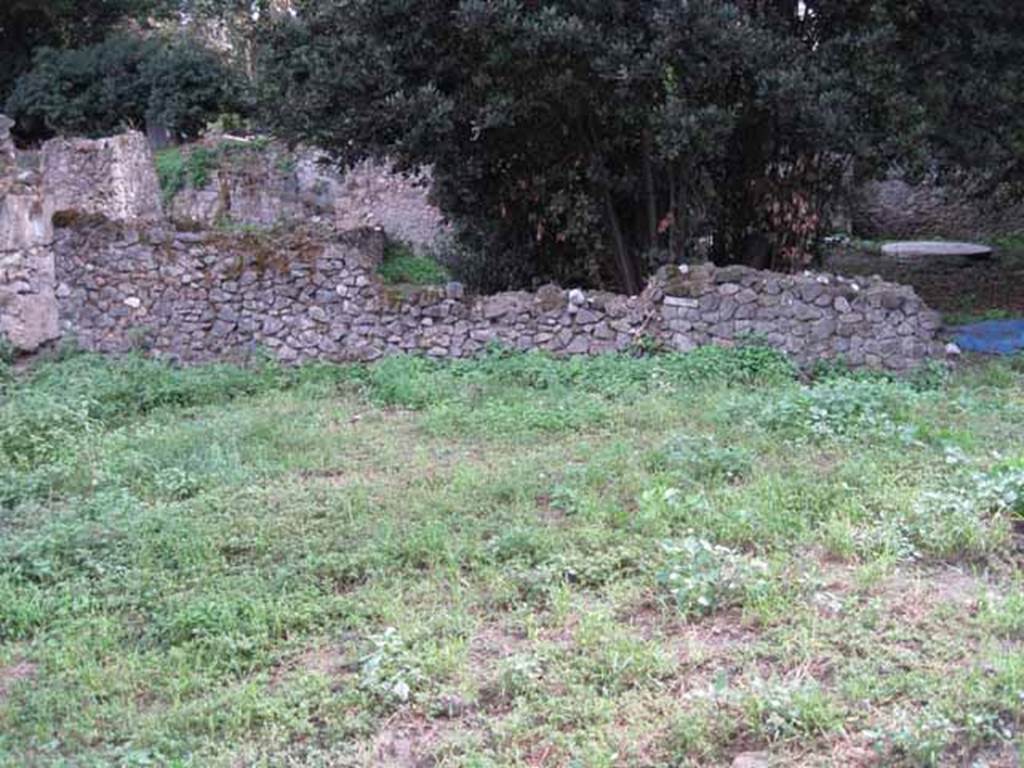 VIII.7.10 Pompeii. September 2010. Looking south across garden area and site of triclinium, near south wall.
Looking south into adjoining garden and the other triclinium. Photo courtesy of Drew Baker.
According to Soprano –
“Ubicazione: giardino. L. medius, m. 4.60; l. imus e l. summus, m. 320; mensa, m.1.40 per 0.90.
Bibliog. “Not. Scavi”, 1910, p.265 e pianta.
Il triclinio era addossato al muro meridionale del giardino; davanti ad esso il terreno fu rinvenuto battuto per uno spazio semi-circolare che presenta piccole lastre di marmo confitte qua e la.
La mensa, rettangolare, presenta sul davanti una nicchietta semi-circolare; originariamente era ricoperta di segmenti a forma geometrica di marmo colorato.
I tre letti erano ricoperti di cocciopesto e rivestiti, lateralmente, di intonaco dipinto; cocciopesto e intonaco sono andati distrutti.
Anteriormente, le pareti verticali recavano, su fondo rosso, la raffigurazione di due Amorini, dei quali uno in atto di difendersi da un fagiano che tenta di beccare un grappola d’uva ch’egli ha nelle mani, l’altro in atto di bere il contenuto di una coppa, mentre con la destra respinge una pantera.”
See Soprano, P. (1950). I triclini all’aperto di Pompei. (In Pompeiana, raccolta di studi per il secondo centenario degli scavi di Pompei. Napoli, Gaetano Macchiaroli, Editore, P. 302, no.18).