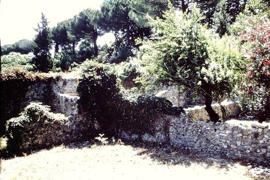 VIII.7.10 Pompeii. 1966. Looking south-east across garden area and site of triclinium near south wall, lower right of photo. Photo by Stanley A. Jashemski.
Source: The Wilhelmina and Stanley A. Jashemski archive in the University of Maryland Library, Special Collections (See collection page) and made available under the Creative Commons Attribution-Non Commercial License v.4. See Licence and use details.
J66f0189
According to Jashemski, the triclinium in the garden of VIII.7.10, was attached to the south wall. On the sides of the triclinium, which were finished with painted plaster, two cherubs were painted on a red background: the one on the right was trying to ward off a pheasant that was attempting to peck at a bunch of grapes held by the cherub, the other cherub drinking from a bowl, while pushing back an animal, perhaps a leopard. There was a rectangular triclinium table with an incurving semicircle in front. To the north of the triclinium was an unusual masonry table, permitting food and drink to be stored in the covered interior. This garden communicated with the large garden to the south, as well as to the garden to the north.
See Jashemski, W. F., 1993. The Gardens of Pompeii, Volume II: Appendices. New York: Caratzas. (p.221)