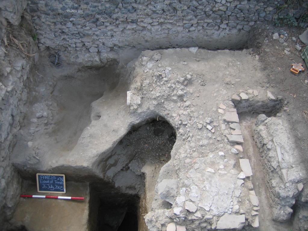 VIII.7.10 Pompeii. July 2005. Eastern half of triclinium during excavations by PARP-PS.
Only the eastern half was revealed and it was found to be extremely poor state of preservation. Quite apart from root damage, a cistern beneath it had collapsed.
Photo courtesy Steven Ellis and Gary Devore. See PARP: PS 2005 season report http://www.fastionline.org/docs/FOLDER-it-2005-48.pdf .