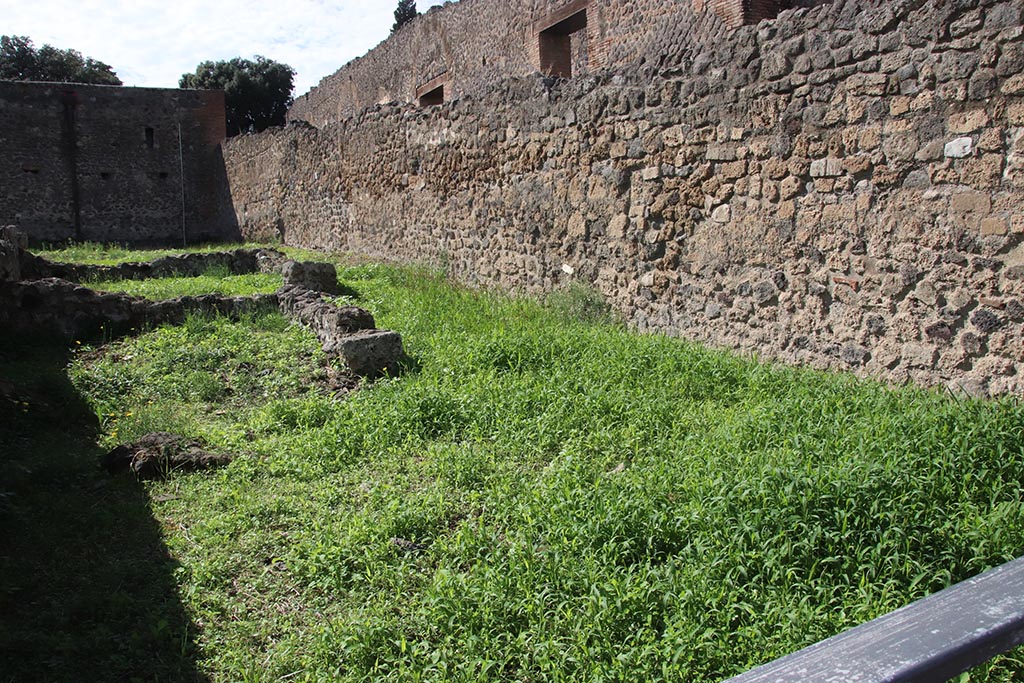 VIII.7.15 Pompeii. October 2024. Looking west along north wall. Photo courtesy of Klaus Heese.