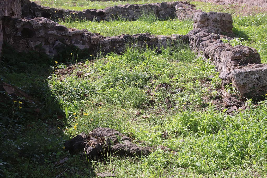 VIII.7.15 Pompeii. October 2024.
Looking west towards site of rooms on south side of corridor, on right. Photo courtesy of Klaus Heese.
