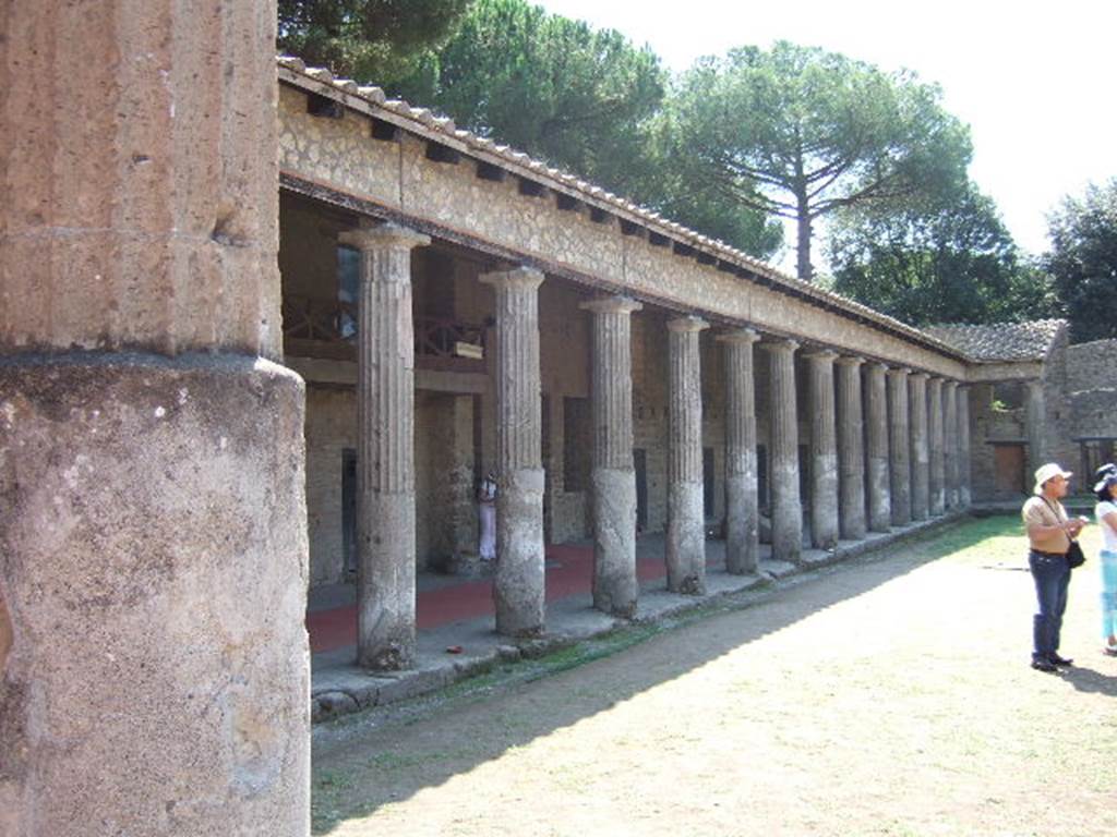 VIII.7.16 Pompeii. September 2005. Looking west along south side colonnade.