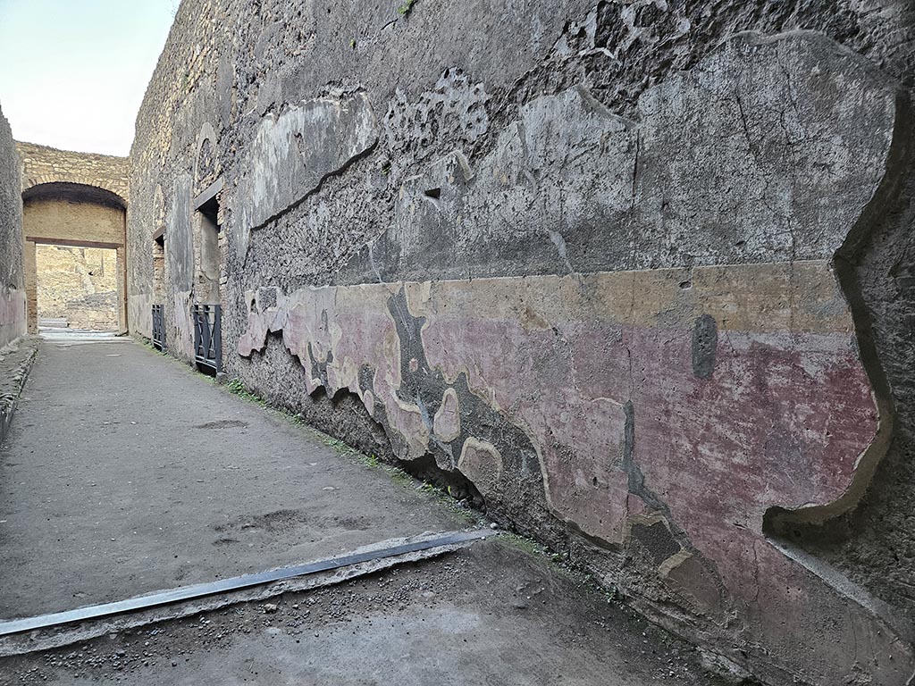 VIII.7.20 Pompeii. November 2024. Looking east along the south wall. Photo courtesy of Annette Haug.