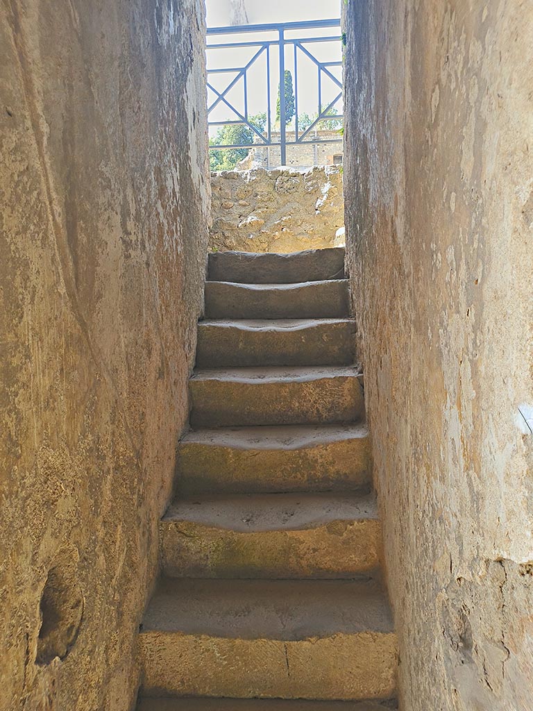 VIII.7.20 Pompeii. September 2024.
Looking west to steps to the Tribunal. Photo courtesy of Giuseppe Ciaramella.