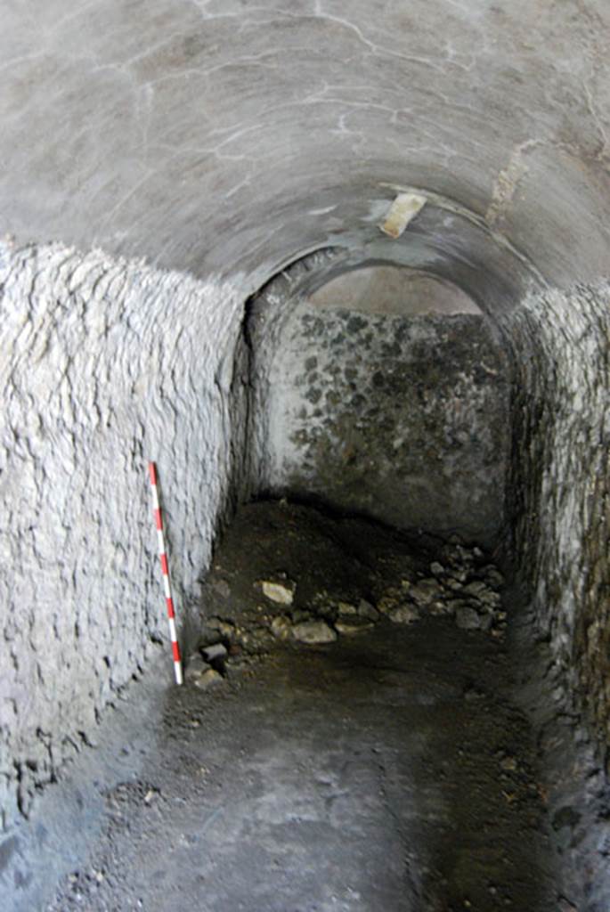 VIII.7.22 Pompeii. June 2009. West wall of room E. Photo courtesy of Sera Baker.