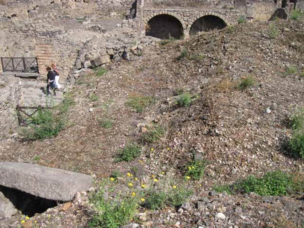 VIII.7.24 Pompeii. September 2010. Looking east along edge of collapse from the west side of garden area. Looking east towards Via Stabiana.
Photo courtesy of Drew Baker.