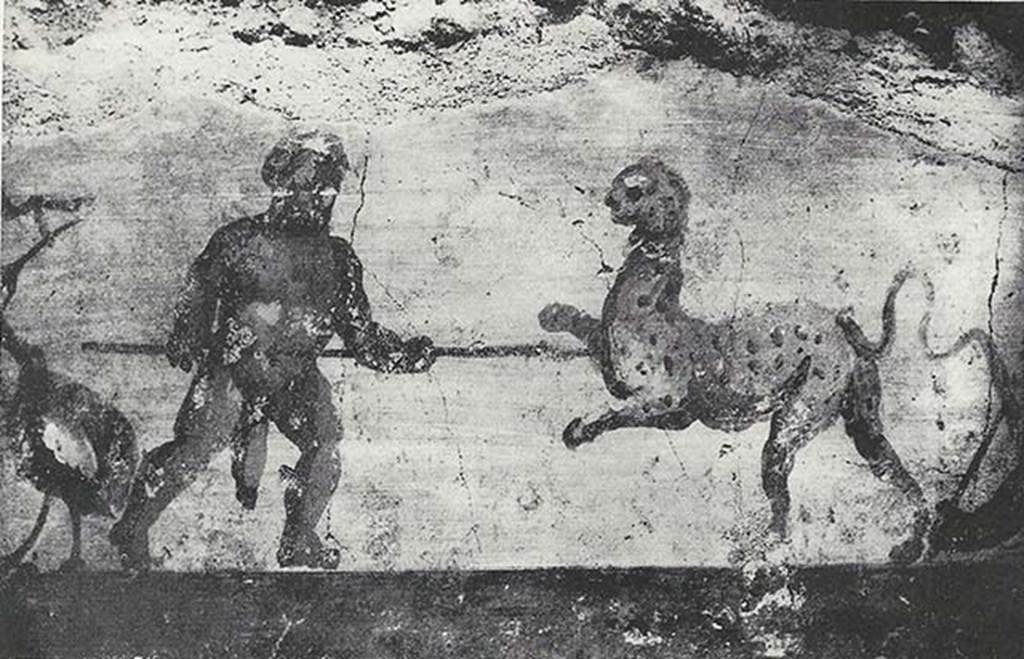 VIII.7.24 Pompeii. 1955. Fragment of Nilotic painting in peristyle. East wall. Hunter and panther, with ibis to left.
See Maiuri A., 1955. Una Nuova Pittura Nilotica a Pompei. Roma: Acc. Naz dei Lincei, Tav. VI, 1.