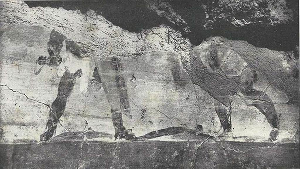 VIII.7.24 Pompeii. 1955. Fragment of Nilotic painting in peristyle. East wall. Gladiatorial combat.
See Maiuri A., 1955. Una Nuova Pittura Nilotica a Pompei. Roma: Acc. Naz dei Lincei, Tav. VIII, 2.