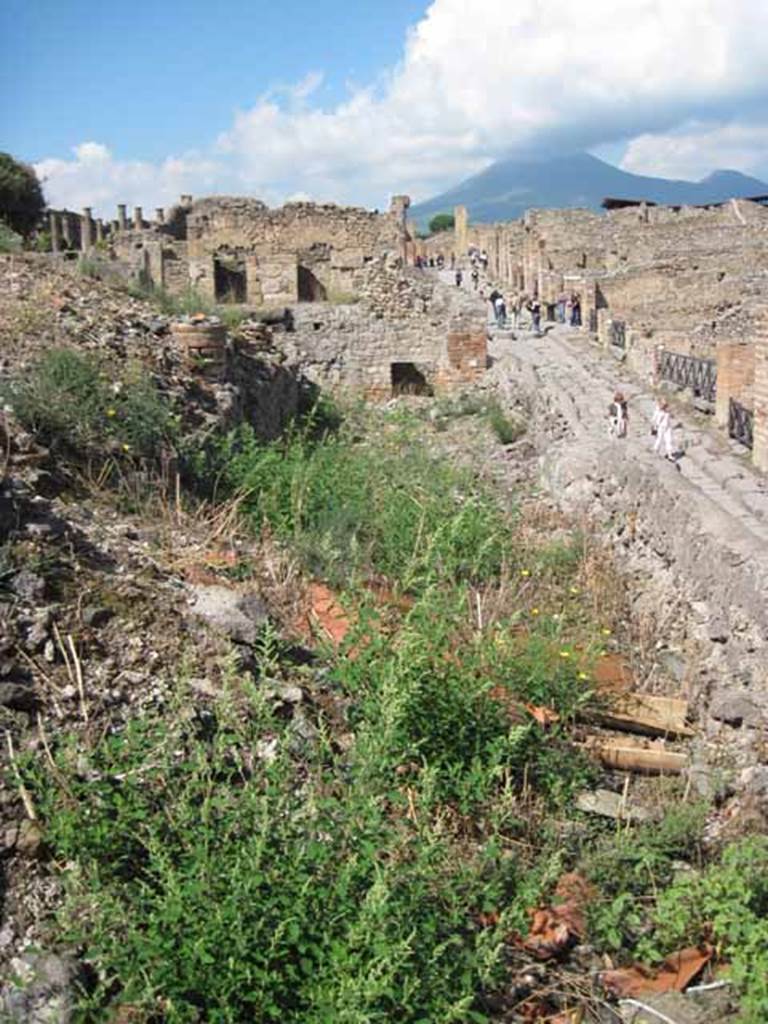 VIII.7.24 Pompeii. September 2010.
On extreme east side looking north along eastern portico of garden.
Via Stabiana is on the right of the photo.
Photo courtesy of Drew Baker.
According to Peters, (1963) found on the portico of a lower lying peristyle which preceded the present one, on the lower zone of its four walls were scenes from the lives of pygmies.
These scenes were interrupted only by doors and windows.
On the northern, eastern and southern walls large portions had remained in their original sites (fig.24).
Only fragments of the paintings were found on the western wall.
Both along the top and bottom the scenes were bordered by a wide red band.
See Peters, W.J.T. (1963): Landscape in Romano-Campanian Mural Paintings. The Netherland, Van Gorcum & Comp. (p.34)
According to Jacobelli, in the peristyle on the south section of the east wall next to the scene of a naval battle, there was a painting of gladiators.
The above photo and the following one must have been taken in the correct area.
Although the book was printed in 2003, it may have been written some years before.
There would not appear to be any paintings left on these walls.
She said the painting depicted the encounter between two gladiators, both armed with swords and rectangular shields.
Perhaps the one on the right had received a mortal blow or else he was attempting to deliver one because he appeared to be shown off balance.
There were also some other very faded paintings.
Jacobelli said one part of the fresco was detached and moved to house I.8.17.
Another part was left in place, and it has almost completely faded away.
See Jacobelli, L., 2003. Gladiators at Pompeii. Rome, L’Erma di Bretschneider. (p.81)
In RdSP, Avilia and Jacobelli wrote an article entitled Sea-battles in Pompeian paintings, in which they describe the scene of the naval battle which was found on this east wall.
See RIVISTA DI STUDI POMPEIANI, Vol. III, 1989, p.138 and p.144.
In RdSP, there is an article entitled: The restoration of the wall paintings at Pompeii: activities and practice of the SAP Laboratory.
There is a picture of assembling the pieces of the nilotic fresco from this peristyle.
See RIVISTA DI STUDI POMPEIANI, Vol. XVII, 2006, p.74.
