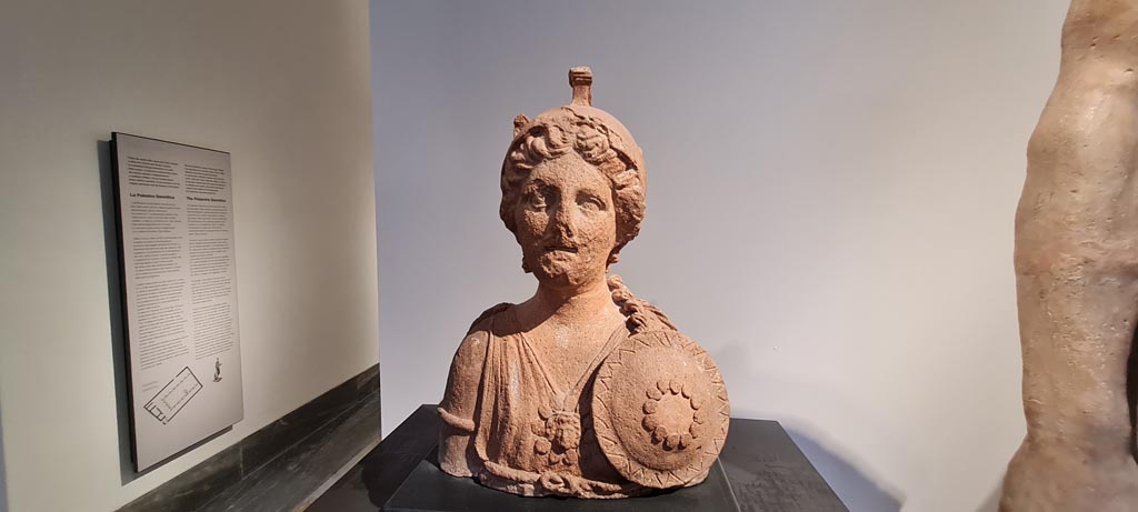 VIII.7.25 Pompeii. Terracotta bust of an armed goddess found in the cella.
According to the information card in Naples Museum, the female figure may be identified as Bellona, the goddess of war worshipped in Rome at the Temple of Apollo Sosianus near the Circus Flaminius and, together with Asclepius, on Tiber Island.
Now in Naples Archaeological Museum. Inventory number 22573. Photo courtesy of Giuseppe Ciaramella.
