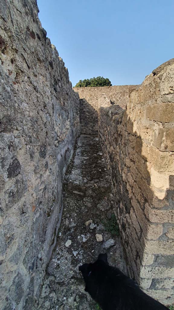 VIII.7.25 Pompeii. August 2021.
Corridor around shrine on podium. Looking west along south side.
Foto Annette Haug, ERC Grant 681269 DÉCOR.