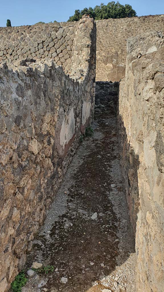 VIII.7.25 Pompeii. August 2021.
Corridor around shrine on podium. Looking west along north side.
Foto Annette Haug, ERC Grant 681269 DÉCOR.