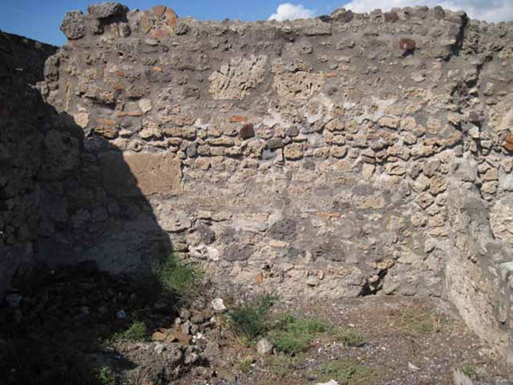 VIII.7.26 Pompeii. September 2010. North wall of tablinum. Photo courtesy of Drew Baker.